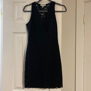 Fitted lace v neck dress